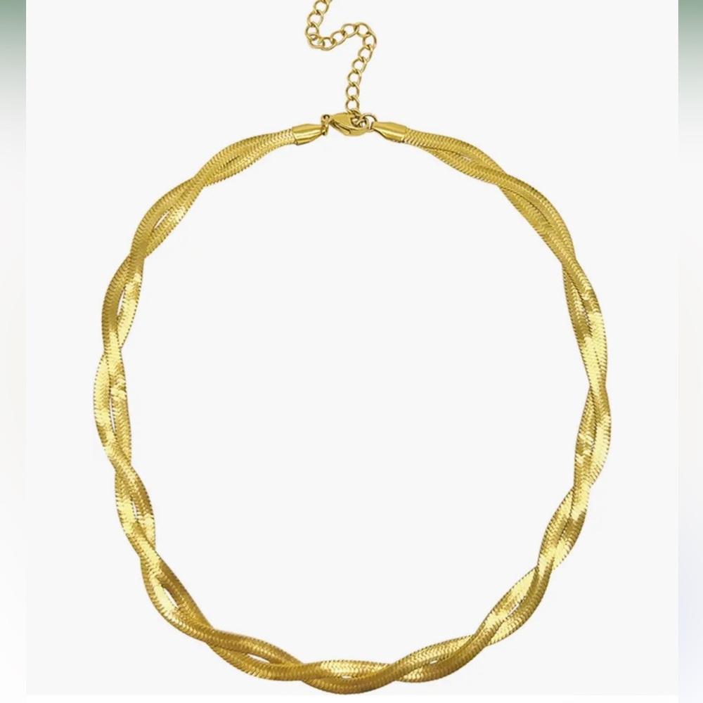 NWT Adornia Braided Herringbone Chain Necklace